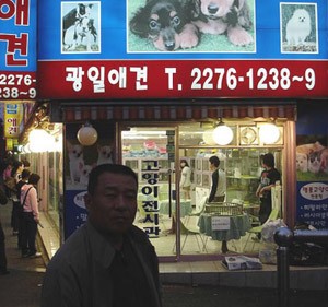 赴韓國考察訪問